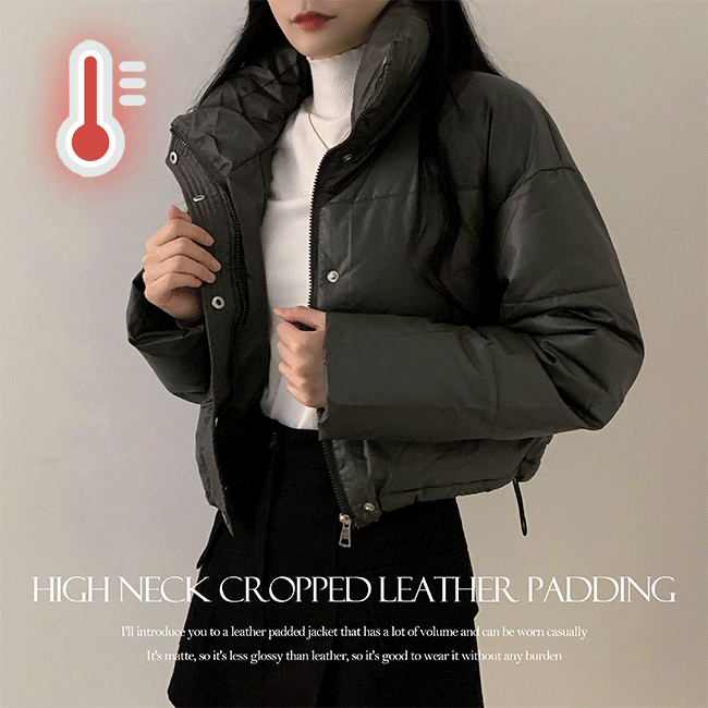 The Nooo Loose Fit High-Neck Cropped Leather Padding (2 colors) [New Winter / Lightweight Padding / Matte Leather / Short Girl]